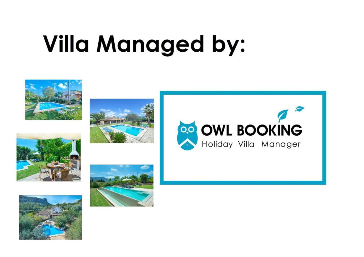 Owl Booking Villa Alvarez - Luxury Retreat In The Old Town 波连斯萨 外观 照片